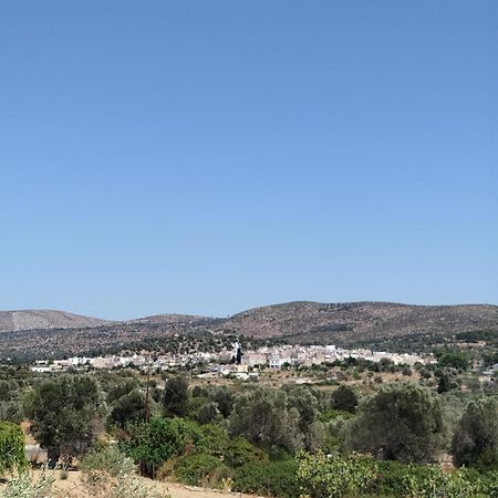 Vlychos Olympi Lodge מראה חיצוני תמונה